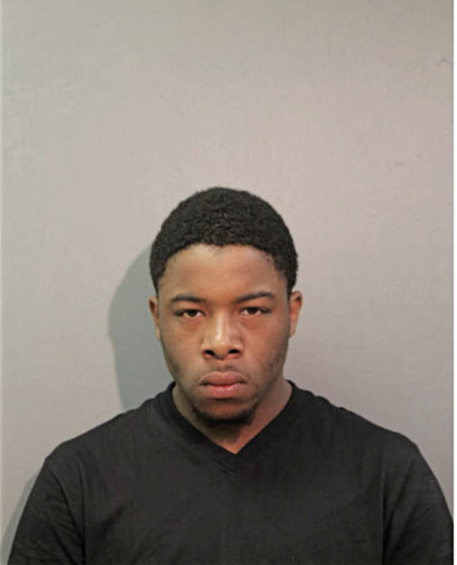 STEVEN R JENKINS, Cook County, Illinois