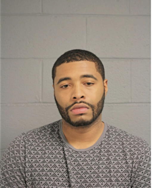 ERIK D JOHNSON, Cook County, Illinois