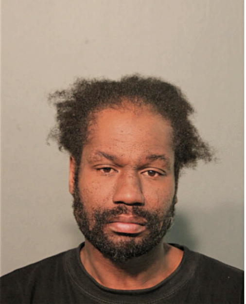 SYLVESTER JR JONES, Cook County, Illinois