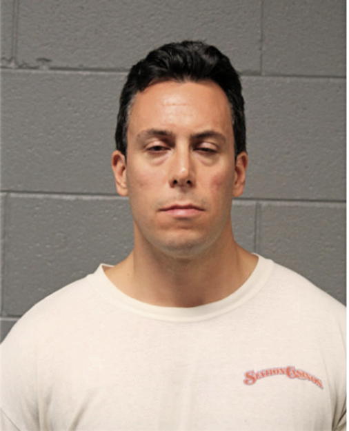 ANTHONY N LAMONICA, Cook County, Illinois