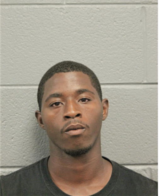 CHRISTOPHER P LUCKES, Cook County, Illinois