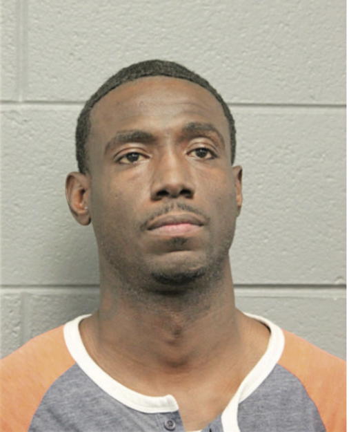 MICHAEL L PEARSON, Cook County, Illinois