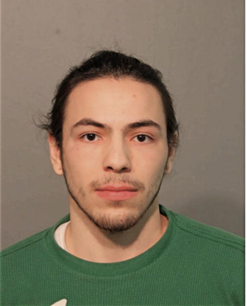 BRANDON PERKINS, Cook County, Illinois