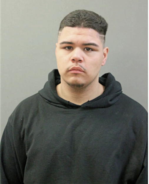 ELVIN J RENTERIA, Cook County, Illinois