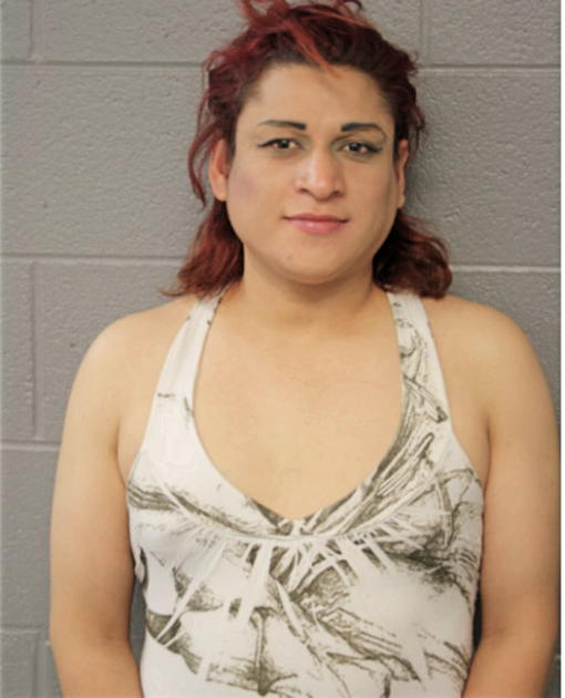 CESAR TRUJILLO, Cook County, Illinois