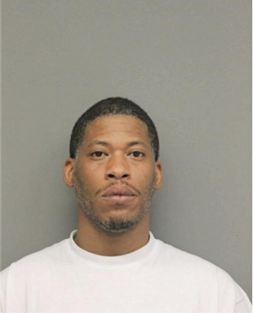 PAUL L ANDERSON, Cook County, Illinois