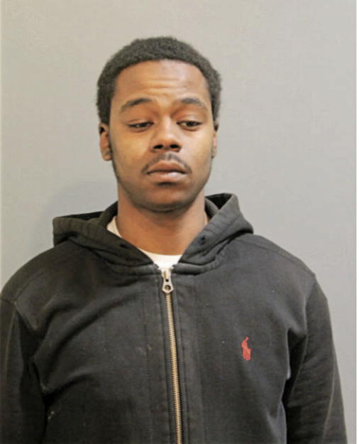 DAVID D BROWN, Cook County, Illinois