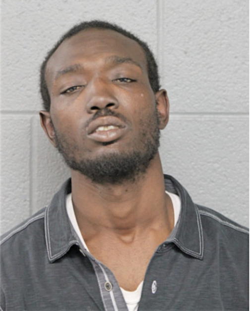 MICHAEL A ELEM, Cook County, Illinois