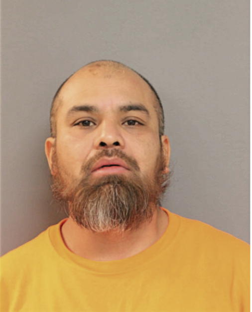 LUIS R GALVAN, Cook County, Illinois
