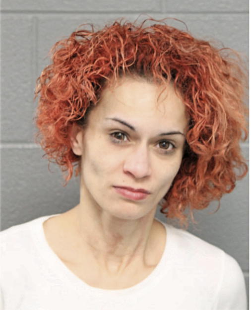 RENA M GARCIA, Cook County, Illinois