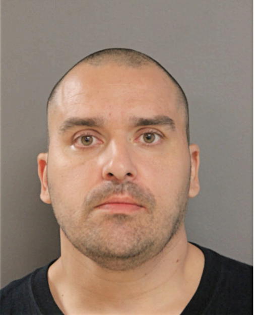 RICKY J GONZALEZ, Cook County, Illinois