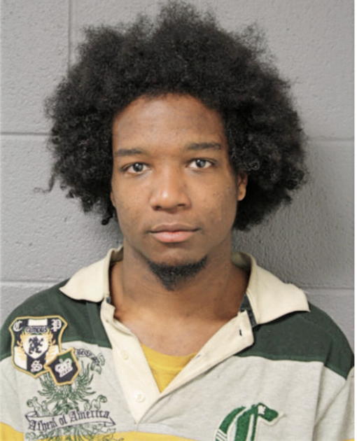 MICHAEL HARDING, Cook County, Illinois