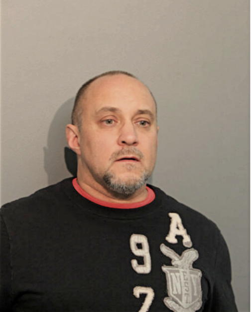 MICHAEL J PIAZZA, Cook County, Illinois