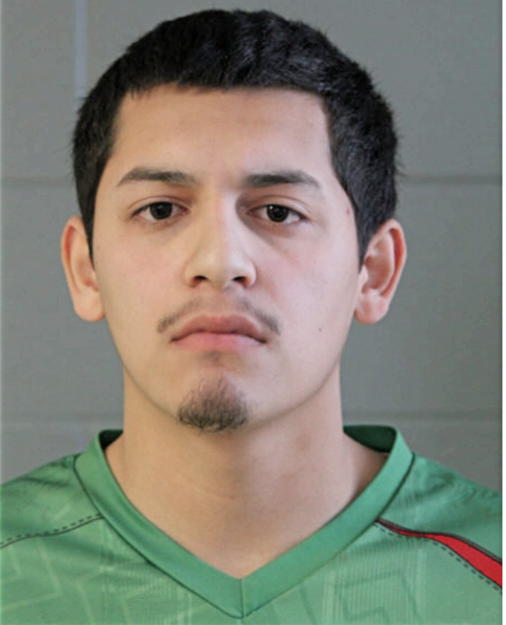 RICARDO ROBLES, Cook County, Illinois