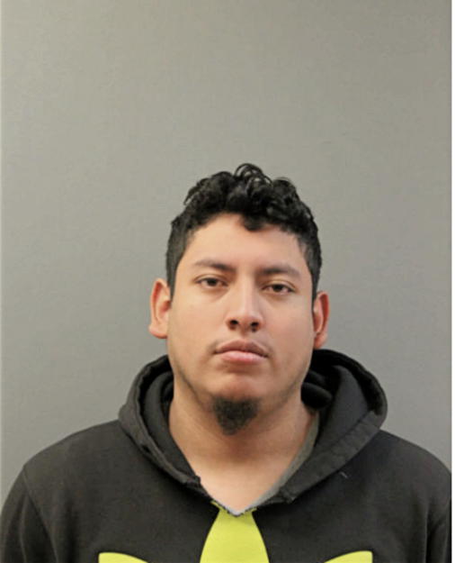 AGUSTIN ROMAN, Cook County, Illinois