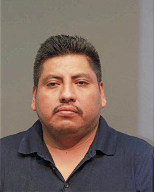 J DEONICIO SALGADO, Cook County, Illinois