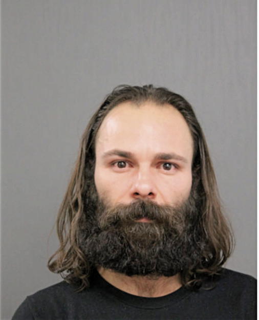 ANDREW N ST. PAUL, Cook County, Illinois