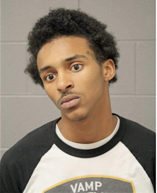 ANTHONY M VICKERS, Cook County, Illinois