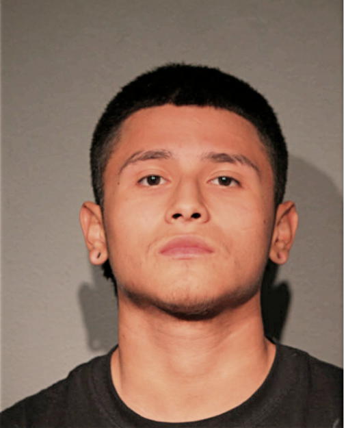 ISAAC ZAVALA, Cook County, Illinois