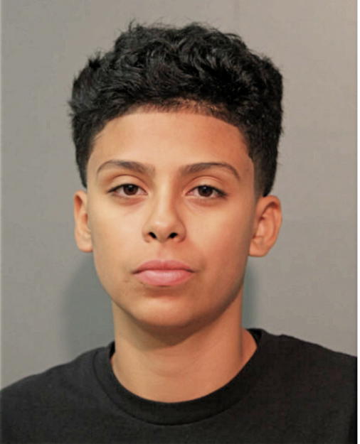LYZA A ALVARADO, Cook County, Illinois
