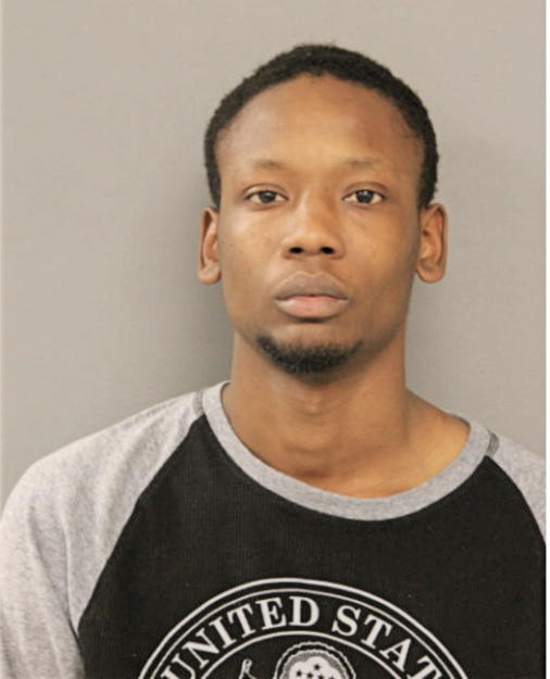 THOMAS T BROWN, Cook County, Illinois