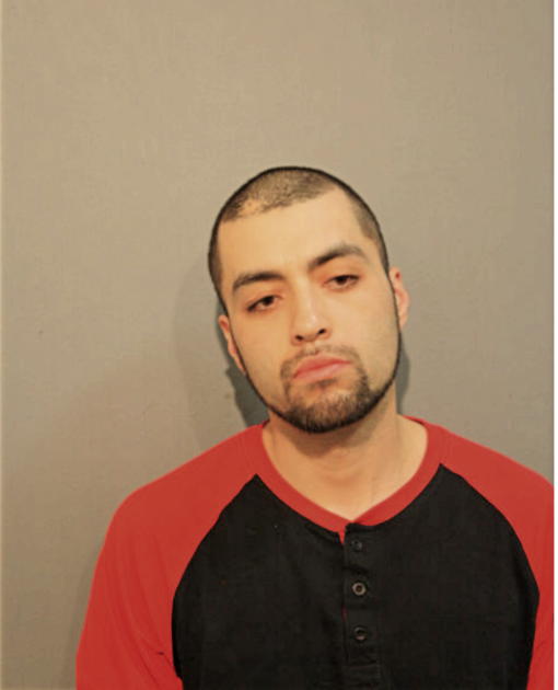 LUIS A COVARRUBIAS, Cook County, Illinois
