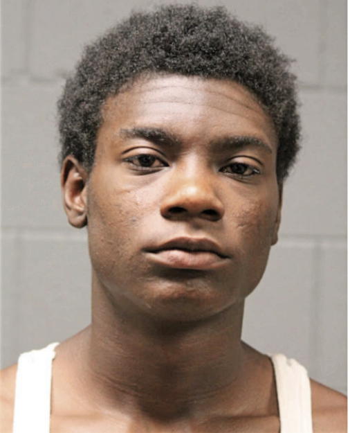 DAVID DELANO CURTIS, Cook County, Illinois