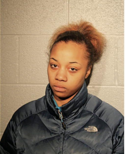 DEANNA N DAVIS, Cook County, Illinois