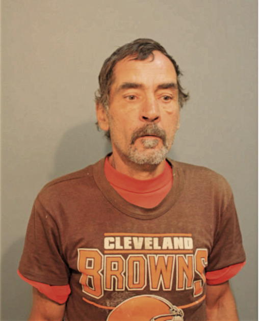 STEVEN D DZIEPAK, Cook County, Illinois