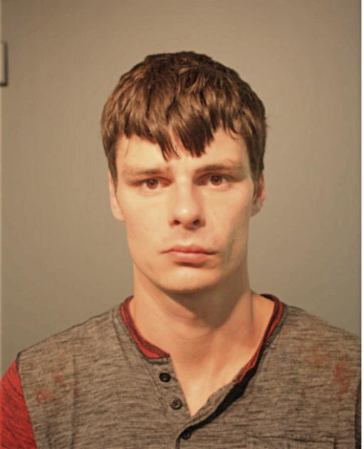 DREW E ERSLAND, Cook County, Illinois