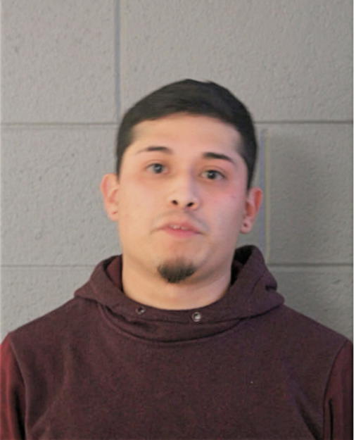 CARLITOS GAMA, Cook County, Illinois