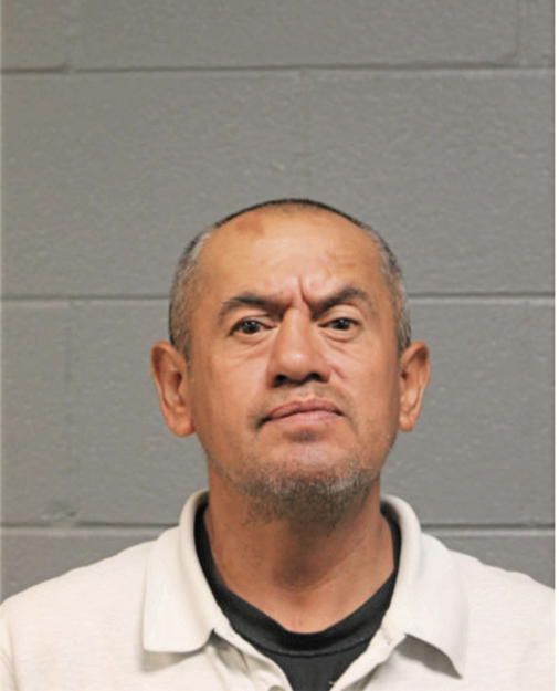 ANGLE GARCIA, Cook County, Illinois