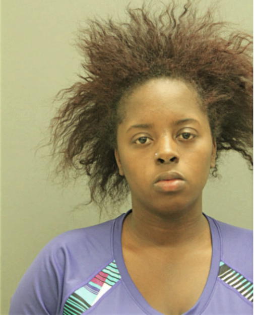 CHERYL L GREYER, Cook County, Illinois