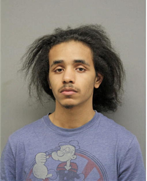 RASHAWN D HAYNES, Cook County, Illinois