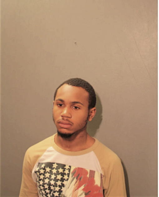 NATHAN L HILL, Cook County, Illinois