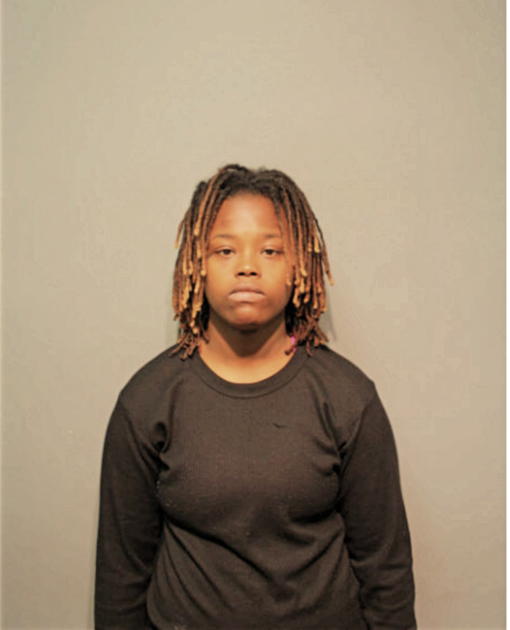 BRITTANY N HOPSON, Cook County, Illinois