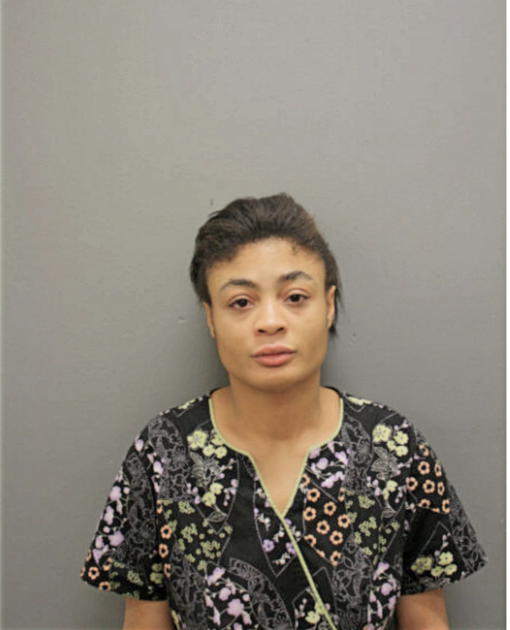 LATISHA L JOHNSON, Cook County, Illinois