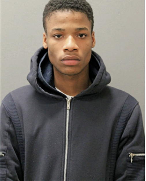 TOYYON M JOHNSON, Cook County, Illinois