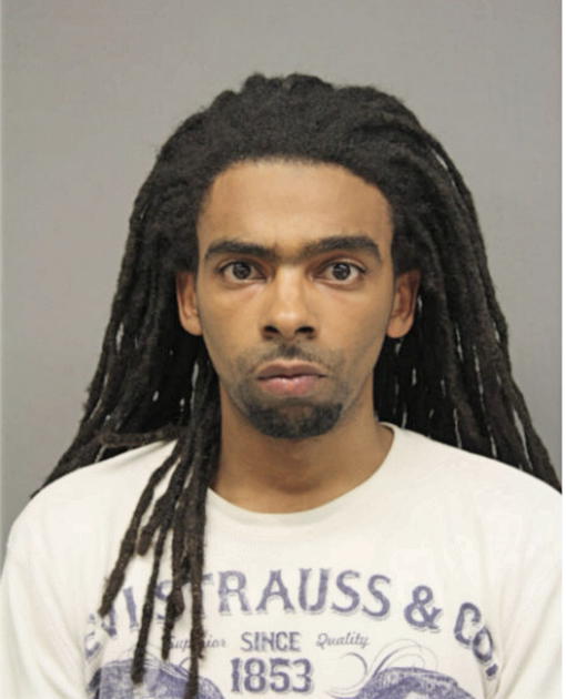 MICHAEL L KING, Cook County, Illinois