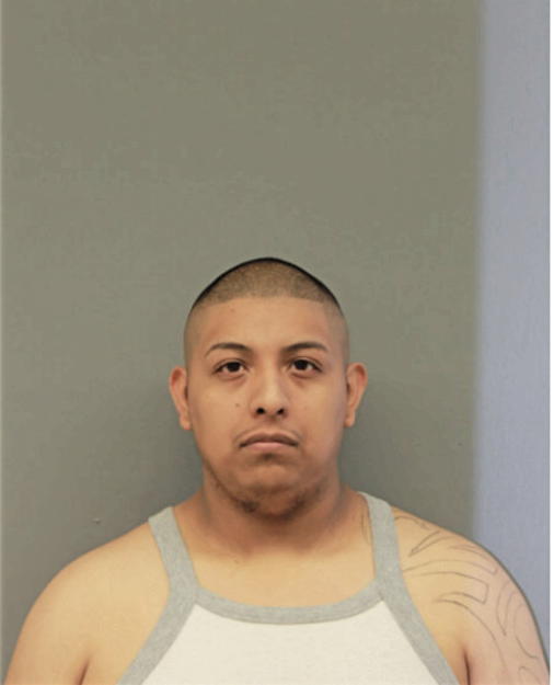 ALFREDO MARTINEZ-ENRIQUEZ, Cook County, Illinois