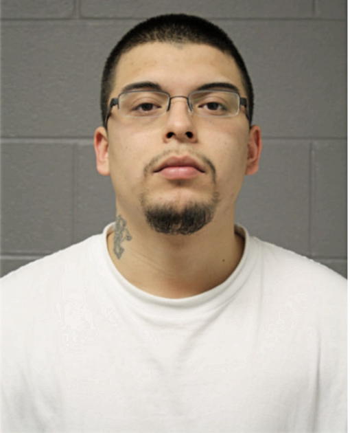 VINCENT M PALACIO, Cook County, Illinois