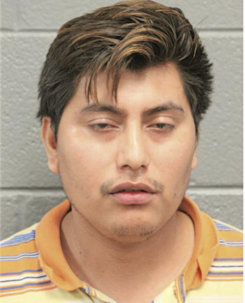 ALFREDO TOLAYO PAREDES, Cook County, Illinois