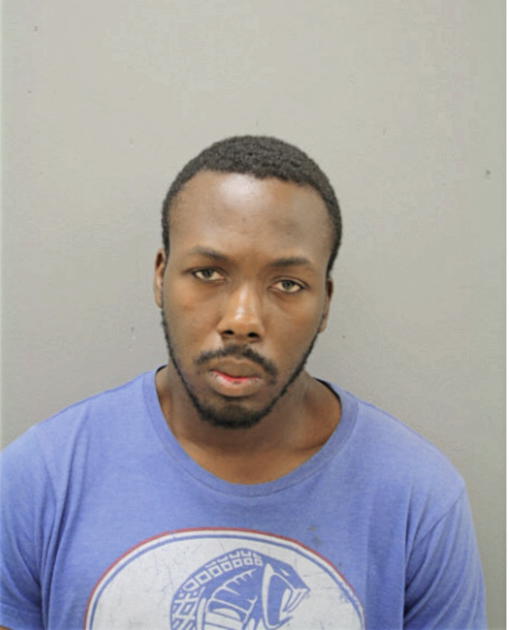 WILLIAM K PAYNE, Cook County, Illinois