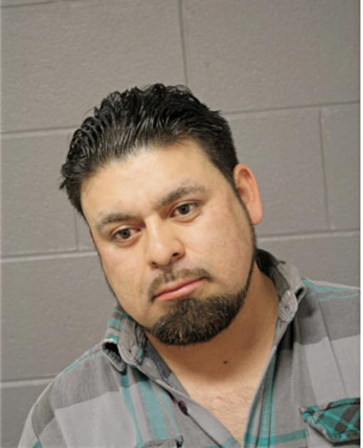 ROBERTO RAMIREZ-RUIZ, Cook County, Illinois