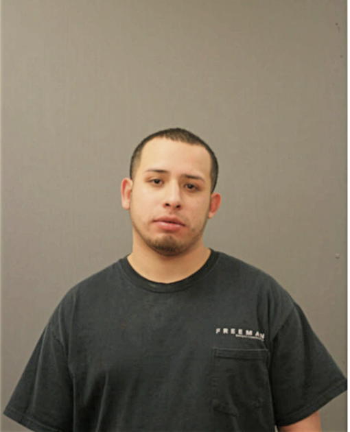 RAY E REYES, Cook County, Illinois
