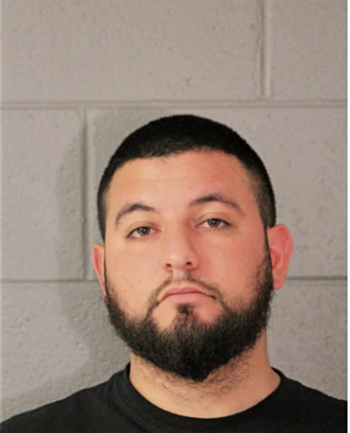 MICHAEL A RODRIGUEZ, Cook County, Illinois