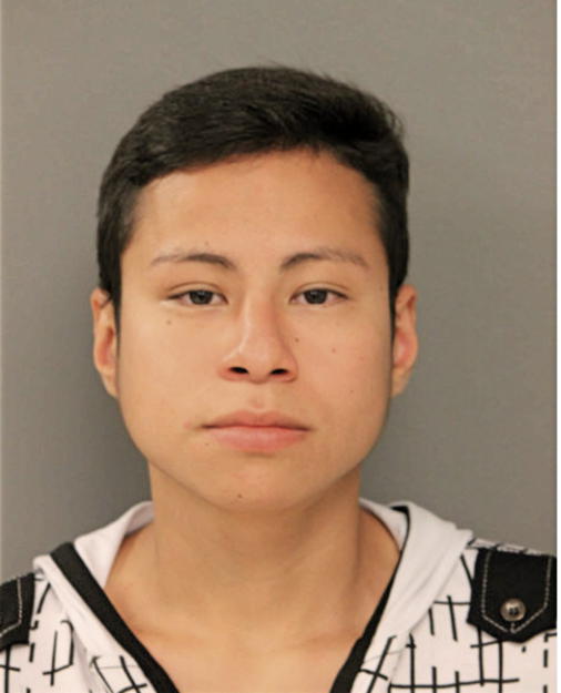 ANGEL O ROMERO, Cook County, Illinois