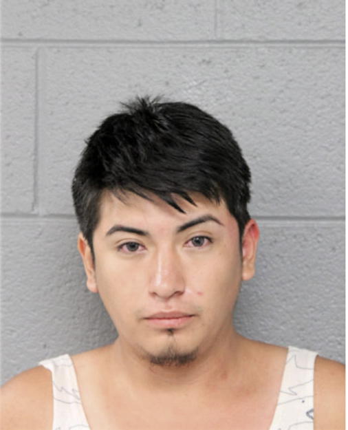 ISAI RUETA, Cook County, Illinois