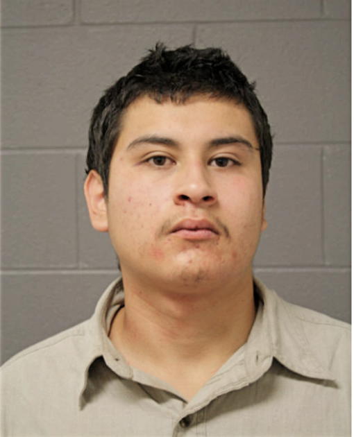 AGUSTIN RUIZ, Cook County, Illinois