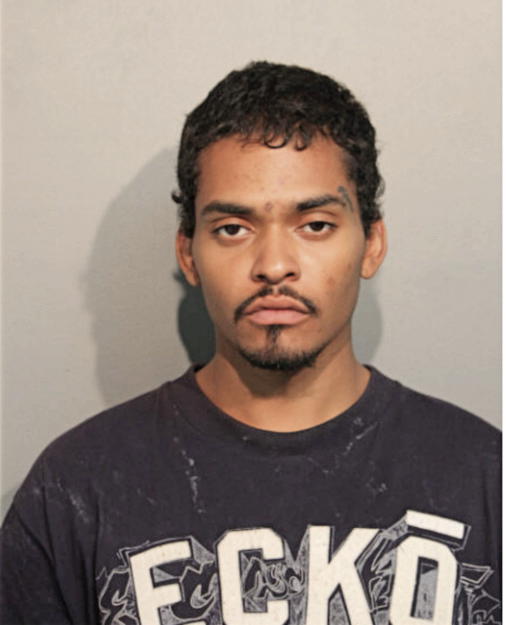 KEITH S SKAGGS, Cook County, Illinois